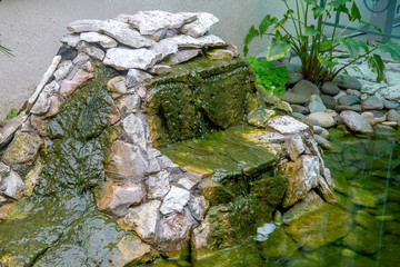 decorative waterfall in the backyard