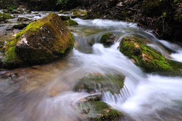 Stones lie in water in mountain stream