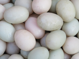 Village market duck fresh eggs for sale