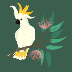 Cockatoo sits on a branch on a green background. Vector graphics.