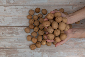 Hands holding whole walnuts on rustic old wooden table