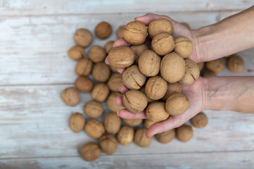 Hands holding whole walnuts on rustic old wooden table