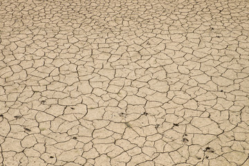 Dry cracked from the heat ground/earth