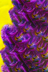 Absolute Abstract Multi Colour Concept