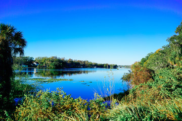 Landscape of Hillsborough river at Tampa, Florida 