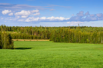 Picturesque green meadow against blue sky, beautiful summer landscape. Typical nature of Finland.