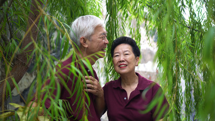 Fototapeta premium Happy retired Asian senior couple laughing under green willow tree
