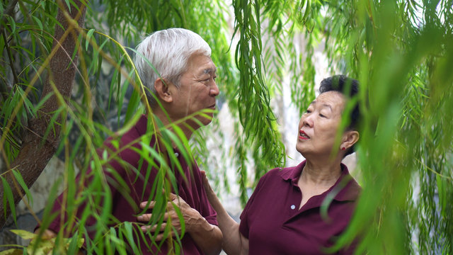 Happy Retired Asian Elder Couple Laughing Under Green Willow Tree