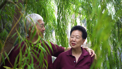 Naklejka na ściany i meble Happy retired Asian elder couple laughing under green willow tree