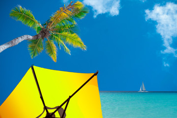Umbrella under a palm tree and a sailboat on the horizon