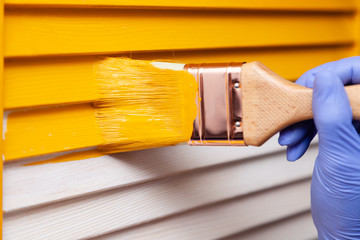 Closeup woman hand in purple rubber glove with paint brush painting natural wooden door with yellow paint, creative design house renovation theme. How to Paint Wooden Surface. Selected focus
