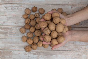 Hands holding whole walnuts on rustic old wooden table