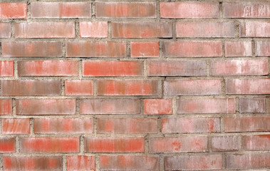 Obraz premium red brick texture background