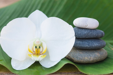 Fototapeta na wymiar Beautiful white orchid flower and massage stones pyramid on green banana leaf close up