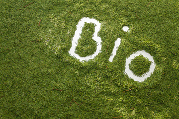 The word BIO. Pine needle lining. Ecology concept. Hands draw. Image on a green background.