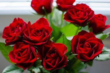 róża, bukiet, walentynki, dzień kobiet, valentine, 
