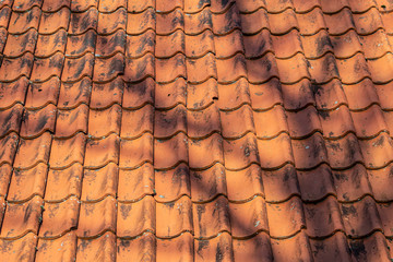 Orange tile roof texture with tree shadow