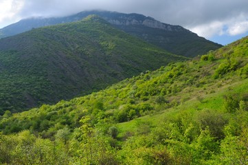 Forest mountain ridges, landscapes series, Crimea, Ukraine.