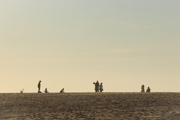 Group of people walking on the beach at sunset