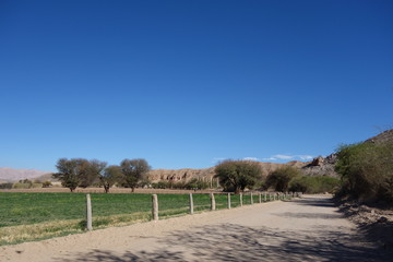 desert landscape somewhere at national road 40, the famous roadway that crosses all argentina