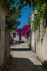 Fototapeta premium Narrow street in an old town in Greece