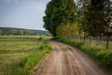 Fototapeta na wymiar Countryside road landscape 
