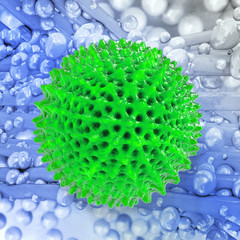 Coronavirus 3D illustration