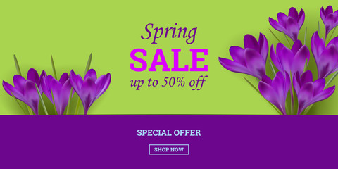 Fototapeta na wymiar Spring sale, up to 50% off. Discount banner with realistic purple Crocus flowers on a green background. Beautiful vector illustration 3D with violet flowers. Design for paper, banners, brochure. Stock