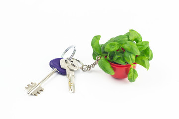 Bunch of keys with a trinket in the form of green Basil in a red baby jar isolated on a white background. Healthy vegetarian food. Organic herbs. Close-up of the key to health