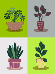 set of home flowers in flowerpots. scandinavian style gardening concept design. vector illustration