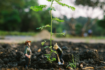 Miniature farmer is digging the soil to plant trees Taking care of preserving the environment and the globe by planting trees, selective focus at miniature people