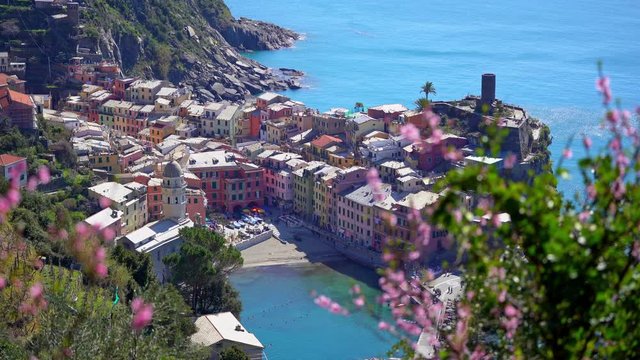 View of Vernazza, Cinque Terre, Italy, Liguria, surrounded by flowers