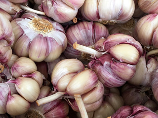 Garlics for sale at a fair.