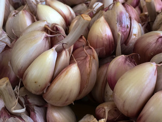 Garlics for sale at a fair.