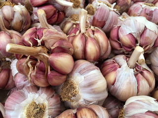 Garlics for sale at a fair.