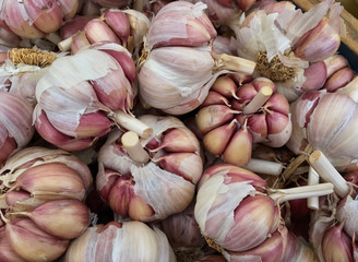 Garlics for sale at a fair.