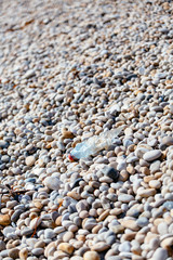 Plastic Pollution on Chesil Beach in Dorset