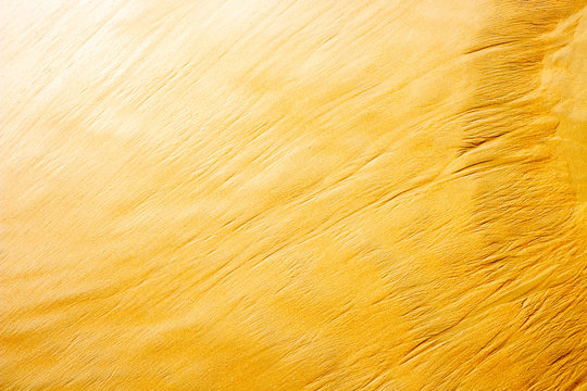 Beach sand as yellow texture or background wallpaper