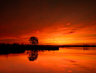 Fototapeta premium Spectacular sunrise at National park de groote peel in Limburg and North-Brabant in the Netherlands. Beautiful red and purple colors from sunset with reflection in the lake. Landscape the Netherlands