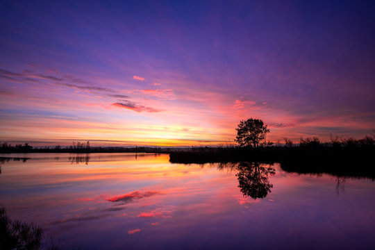 Spectacular sunrise at National park de groote peel in Limburg and North-Brabant in the Netherlands. Beautiful red and purple colors from sunset with reflection in the lake. Landscape the Netherlands