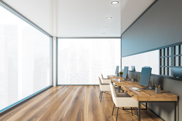 Panoramic gray and wooden open space office