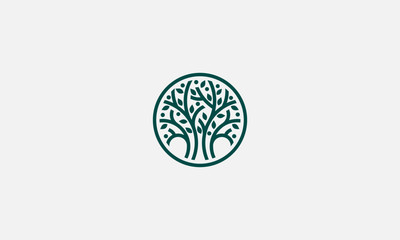 Vector tree, fir-tree, wood, oak.  badges, labels and logotype templates for your business