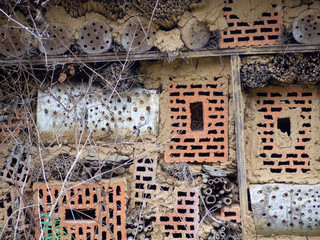 insect hotel structure 