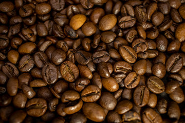 Dark background and texture of coffee beans, selective focus, closeup grains.