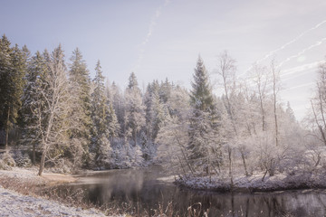 an idyllic forest lake in winter