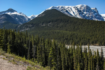 Athabasca River bed in spring season with the Canadian Rockies in the background, Jasper National Park in Alberta, Canada.