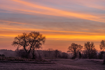Fototapeta na wymiar landscape winter frost sunrise tree field gras morning sky