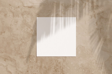 Summer modern sunlight stationery mockup scene. Flat lay top view blank greeting card with palm...