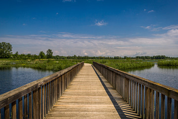 Passerelle dans Le Grand Parc de Miribel Jonage