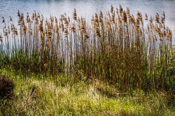 Le Grand Parc de Miribel Jonage